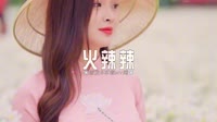 0239--火辣辣-DjAw车载音乐团队