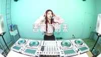 0303--春风何时来-Dj小龙车载音乐团队高清mv下载
