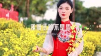 0212--我期待的不是雪-DJK2车载音乐团队