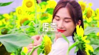 0233--传奇-Dj阿亮车载音乐团队原创车载MV