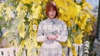 0346---向天再借五百年-Dj阿亮车载音乐团队车载mv下载网