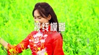 0217--视线模糊-DJ苏辛车载音乐团队DJ视频mv