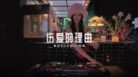 0756--伤爱的理由 DJHouse团队