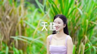 0838--天梯 DJHouse团队