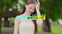 王小乱-就把你忘了吧（DJ版）车载美女mv歌曲视频