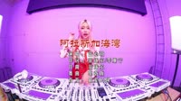 车载mv网-阿拉斯加海湾 DJHouse音乐