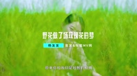杨友友 - 野花做了场玫瑰花的梦 (DJ细霖&DJCherry ProgHouse Rmx 2023)车载视频mv大全下载