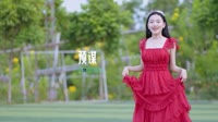 (DJ车载版 Mix)徐佳慧 - 预谋 ( DJ刚仔VsDJ川仔)车载mv视频歌曲大全高清下载