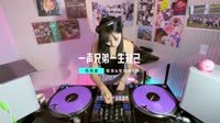 范亮星-一声兄弟一生知己(DJV&DJCandy版)
