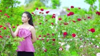 DJ - 萍姐-别亦难 (cover： 徐小凤)【柏林Music】1080