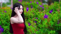 DJ - 萍姐 - 小白杨【柏林Music】1080