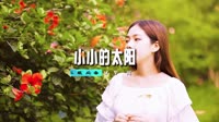 张宇 - 小小的太阳 (Mcyy Remix)