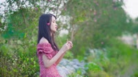 DJ - 萍姐-无奈的思绪 (cover： 张朋娜)【柏林Music】1080