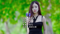 车载MV网-隔壁老樊 - 我曾(McYy Electro Mix国语男)