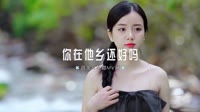 0596--你在他乡还好吗 DJHouse团队mp4视频免费下载歌曲
