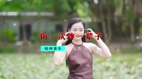 DJ - 泽宁 - 伤一次疼一辈子 (DJ版)【柏林Music】1080 1