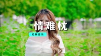DJ - 萍姐-情难枕【柏林Music】1080