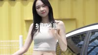 (抖音DJ热播)乡间的小路 (Radio车载版)DJ视频mv