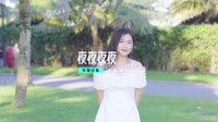 KTV 导唱字幕(抖音DJ热播)夜夜夜夜 Y鼓 Edit打碟版