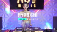 雨中百合-受尽痛苦和折磨(DJ车载版)