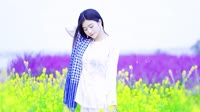 最新mp4格式视频下载 凤凰传奇 - 荷塘月色(2011合成CLUB DjHaly Rmx)