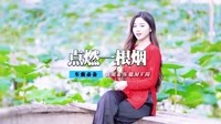高清mp4歌曲大全批量下载 林玉英 - 点燃一根烟 (DJ版)【柏林Music】