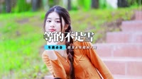 mp4歌曲免费下载网-王羽泽 - 我等的不是雪 (DJ加快版)【柏林Music】