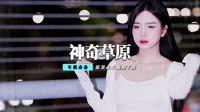 开场豆包 - 神奇草原 酒吧DJ【柏林Music】 未知