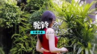 高清MP4车载下载【刀郎】+-+驼铃(Dj阿彪+Dance.vol++Mix+)