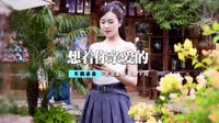 高清mv视频-DJ-想着你亲爱的 陈美惠 DJ小廖