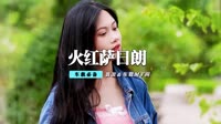 高清mv免费下载-乌兰托娅 - 火红的萨日朗(Dj刚仔 Dance Rmx 2014 弹)