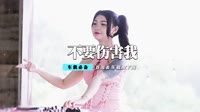 女声-不要再来伤害我(Dj王志 Club Rmx)
