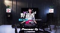 莫斯满老猫 - 野花香(DJcandy Dance Rmx 2019)