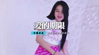 祁隆 - 爱的期限(Dj阿远 Dance Rmx 2014 弹)