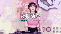 龚玥 - 冰糖葫芦(2011Funky DjSally Rmx)112bpm