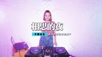 海生Vs王斐斐 - 相思的夜(Dj阿远 Dance Rmx 2012 弹)
