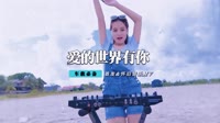 祁隆Vs乐凡 - 爱的世界只有你(DjAlex.x Electro Rmx 2013)