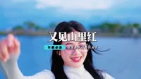 祁隆 - 又见山里红(DjCandy Dance Rmx 2013)