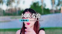 慧慧 - 风吹麦浪(Cash Dance Rmx 2013 弹)