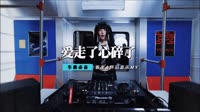 雷龙-爱走了心碎了(DJ王志 Rmx)