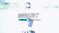 爱走了心碎了-雷龙(DjAming 2008合成CLUB)