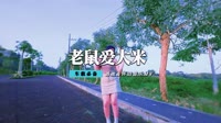 香香 - 老鼠爱大米(Dj永龙 ProgHouse Mix国语女)