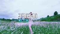 郭美美 - 不怕不怕(怀集Dj珈珈 Disco Mix国语女)