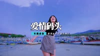 郑源 - 爱情码头(Dj云吞 Dance Rmx 2013)
