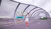 苏打绿 - 小情歌(Dj阿帆 ProgHouse Mix国语男)