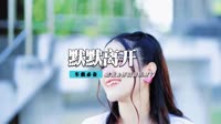 张冬玲 - 让我默默的离开(Dj何鹏 Dance Rmx 2014 弹)