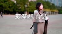 超清1080p无水印-雷婷-寂寞犯的错-户外车载MV高清Mp4_0