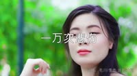 超清MV无水印-徐歌阳 一万次悲伤 (DjEthan Mix　国语女)写真超清音乐MV