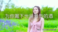 超清MV-卢喃-为你喝下世间最烈的酒(DJ名龙版)写真美女超清MV视频