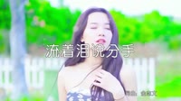 超清MV-庄心妍  流着泪说分手 (McYy Remix )户外美女超清音乐MV
